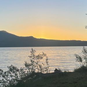 Meet your Posher, Adam